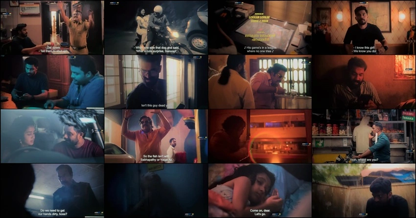 Download The Pet Detective | 2025 | Hindi Dubbed | HDTC | Full Movie 480p 720p 1080p